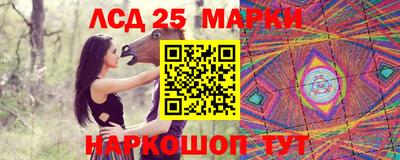 молекула духа Кулебаки