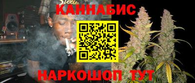 кокс Гатчина