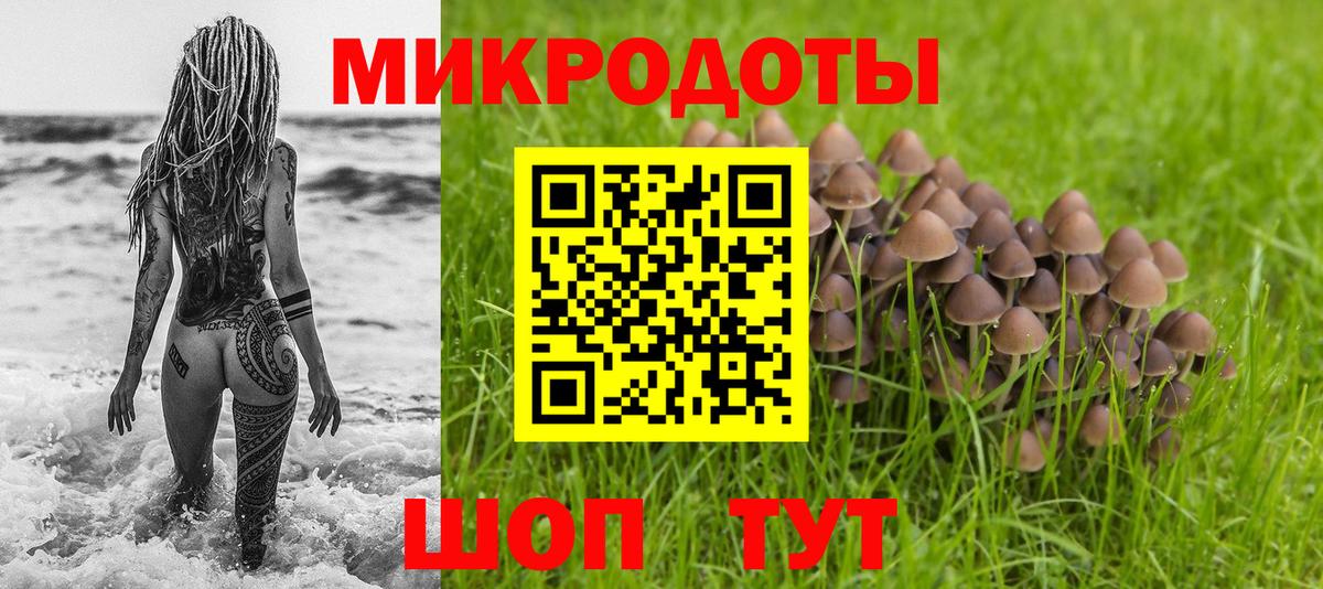 Галлюциногенные грибы мухоморы  Псилоцибиновые грибы GOLDEN TEACHER  Черкесск  Вход с VPN 